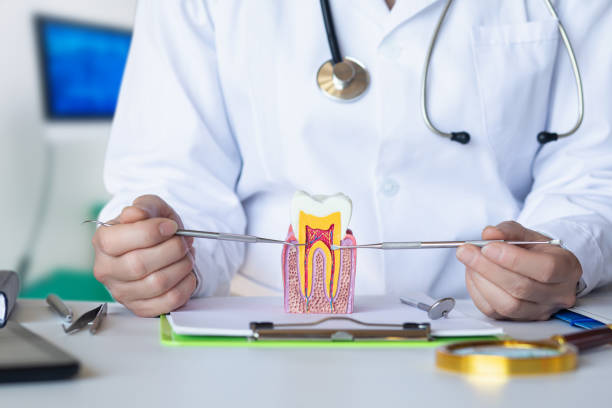 Best Cracked Tooth Emergency Dentist  in Brices Creek, NC